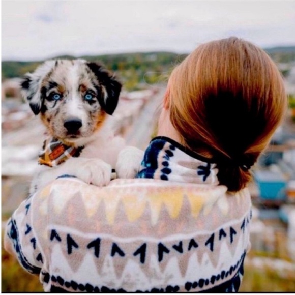 Patagonia Snap-T Fleece Synchilla Pullover Bandicoot
Marrow Grey - Picture 11 of 14